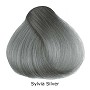 Sylvia Silver, semi-permanent haircolour Sylvia Silver, semi-permanent haircolour